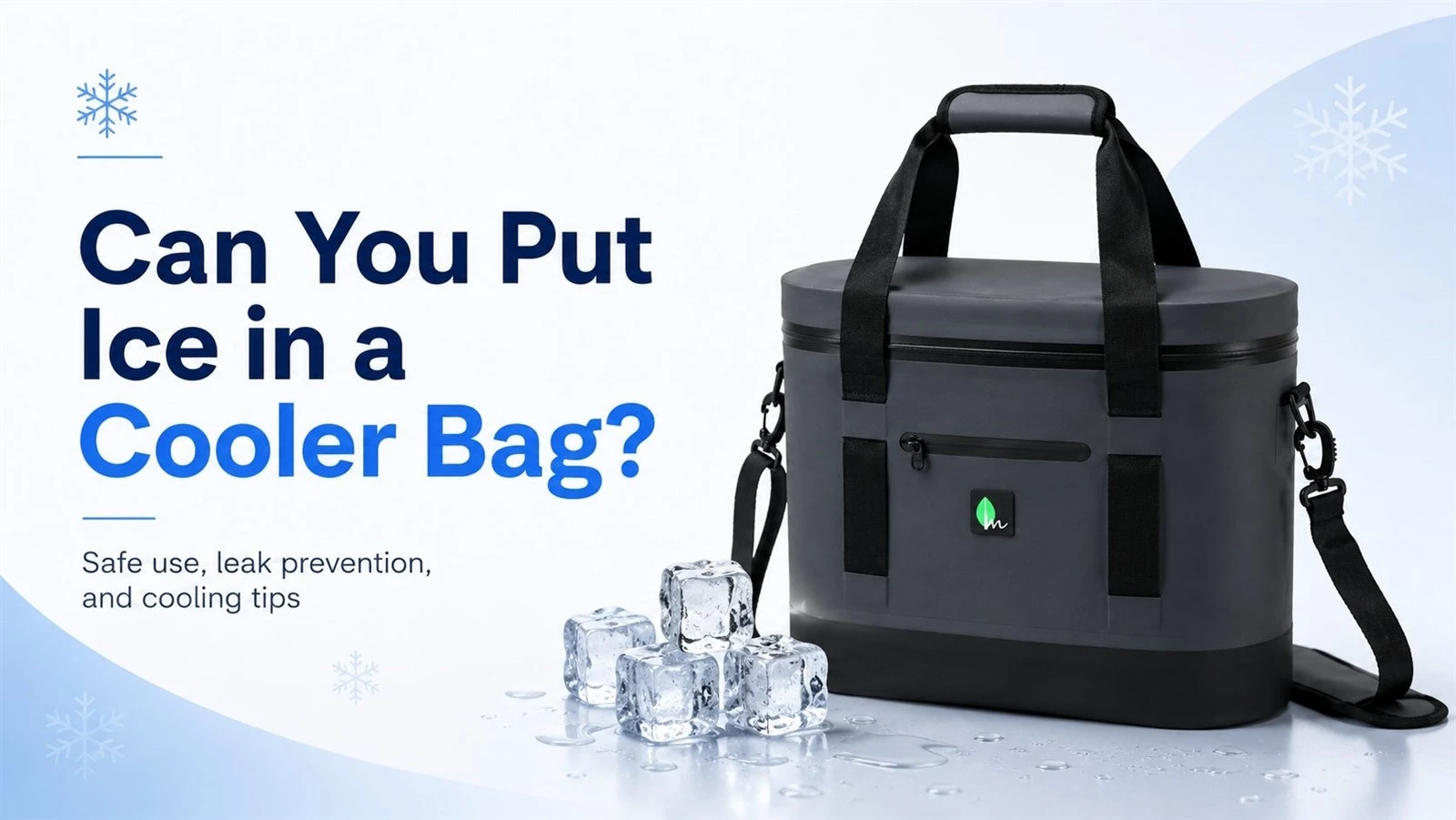 Can You Put Ice in a Cooler Bag? Safe Use & Buying Guide Can You Put Ice in a Cooler Bag? Safe Use & Buying Guide