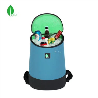 Wine Cooler Bag